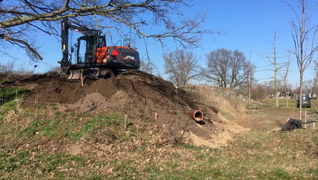 Dassen moeten verhuizen